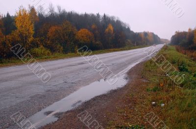 Autumn Highway