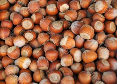 Closeup Image of Unshelled Hazelnuts