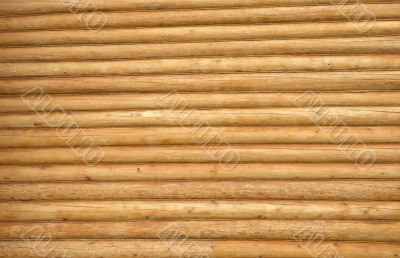 Timbered background