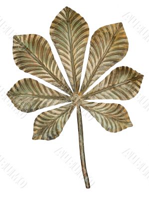 Bronze chestnut leaf. 