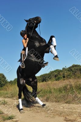 rearing horse