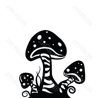 mushrooms