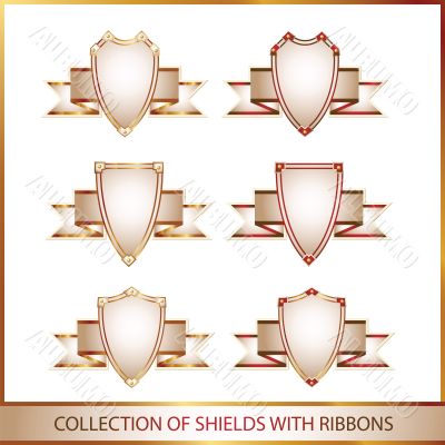 colection of shields with ribbons colection of shields with ribbons