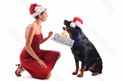 rottweiler, gift and woman