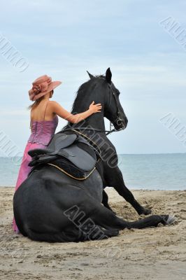 sitting horse on the beach