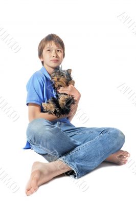 yorkshire terrier and young boy