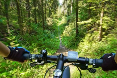 MTB bike coming down the trail.