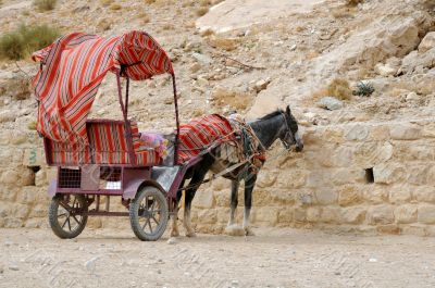 Donkey and Cart at Petra
