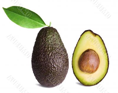 Avocado