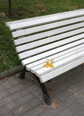 Bench in the autumn park