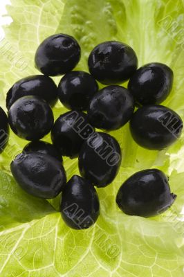 olive and salad olive and salad