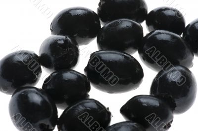olive macro olive macro