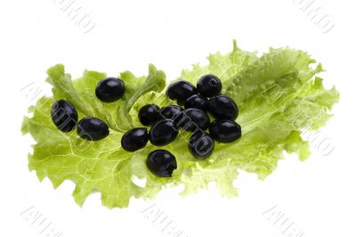 olive on salad olive on salad