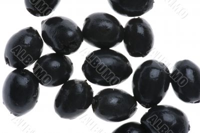olive olive