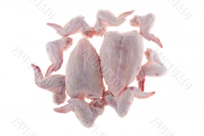 Raw chicken meat