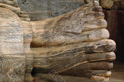 Buddha`s Feet