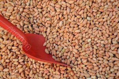 Salted Peeled Peanuts And Scoop