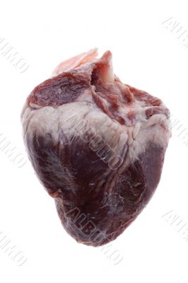 The beef heart The beef heart
