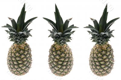 Three pineapple Three pineapple