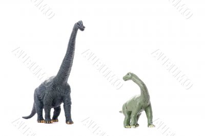 Two dinosaur isolated on white Two dinosaur isolated on white