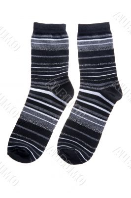 Wool socks on white background