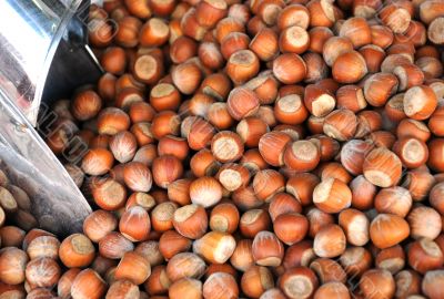 Hazelnuts and Scoop on the Market Hazelnuts and Scoop on the Market