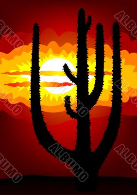 Mexico sunset - vector