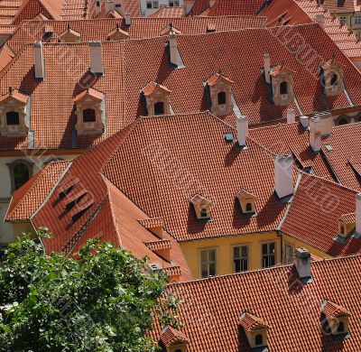 Prague Roofs Prague Roofs