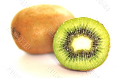 kiwi kiwi