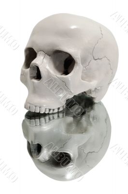 skull on a mirror
