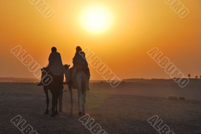 desert sun