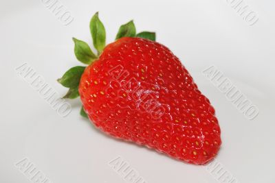 strawberry strawberry