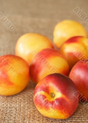 Bunch of ripe nectarine peaches
