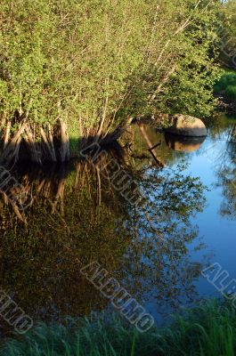 River in the Spring River in the Spring