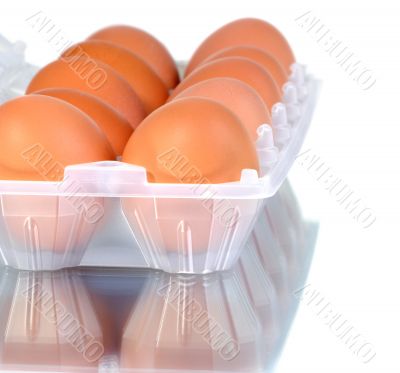 the hen`s eggs in pack