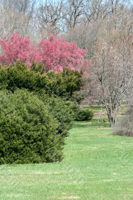 Lush trees and bushes