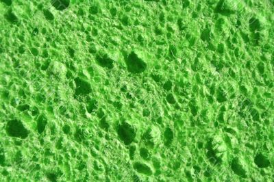 Green Sponge background Green Sponge background