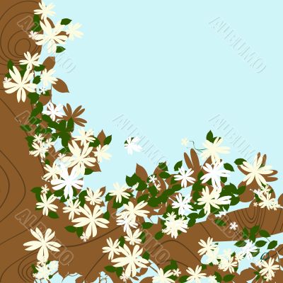 Blossom tree background Blossom tree background