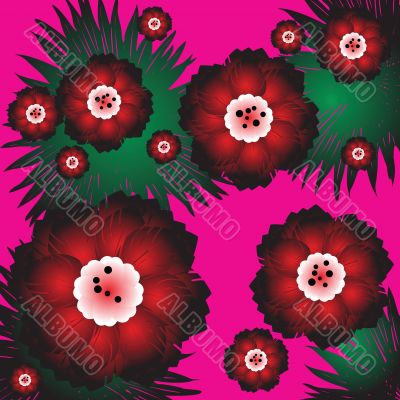 blossom flowers