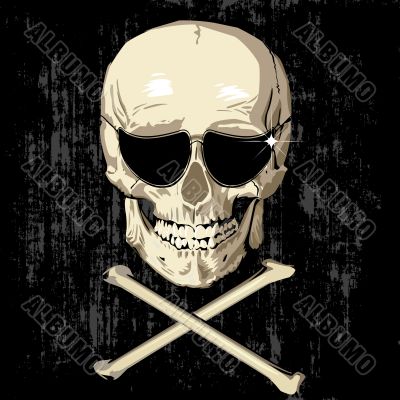 scarry humas skull scarry humas skull