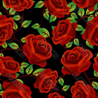 Roses over black pattern