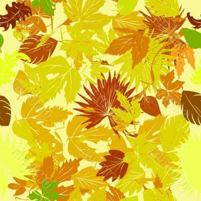 Leaves carpet background Leaves carpet background