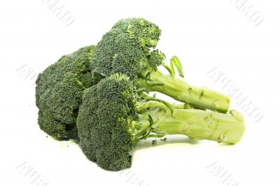 Broccoli isolated on white background 