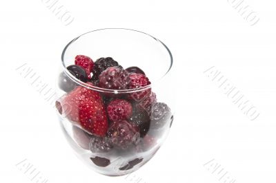 Berry fruits