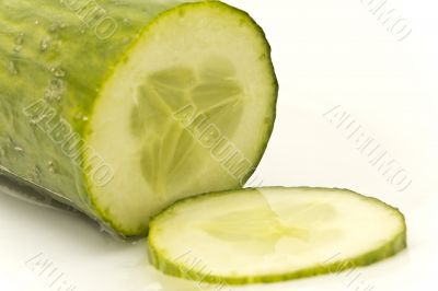 Cucumber