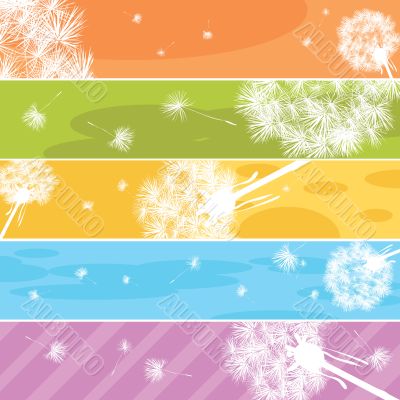 Dandelion Web banners Dandelion Web banners