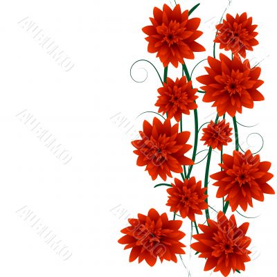 floral border floral border