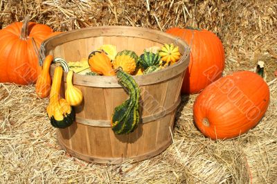 Bunch of gourds in a basket with hay