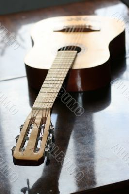 acoustic guitar