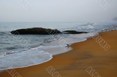 Foggy Morning on the Beach Foggy Morning on the Beach